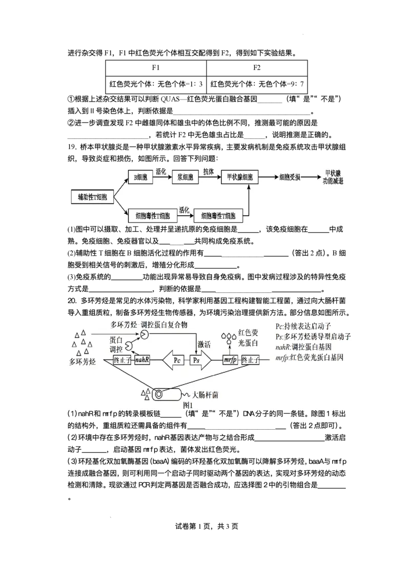 绵阳南山中学实验学校2025-2026学年高三上学期1月月考生物+答案_2024-2026高三（6-6月题库）_2026年01月高三试卷_0115四川省绵阳南山中学实验学校2025-2026学年高三上学期1月月考