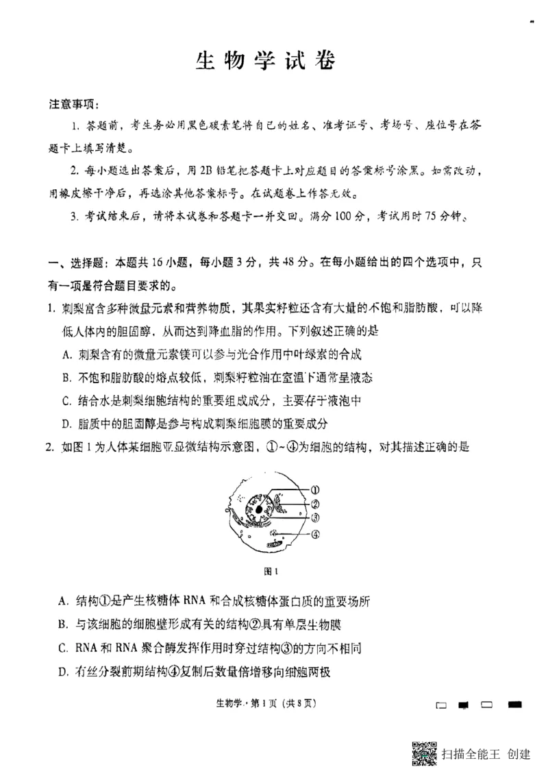 遵义市部分学校2025届高三第三次月考生物试卷_2024-2025高三（6-6月题库）_2024年11月试卷_1125贵州省贵阳市第一中学2024-2025学年高考适应性月考（三）