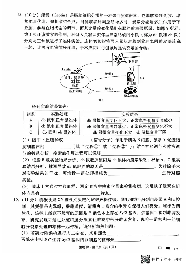 遵义市部分学校2025届高三第三次月考生物试卷_2024-2025高三（6-6月题库）_2024年11月试卷_1125贵州省贵阳市第一中学2024-2025学年高考适应性月考（三）