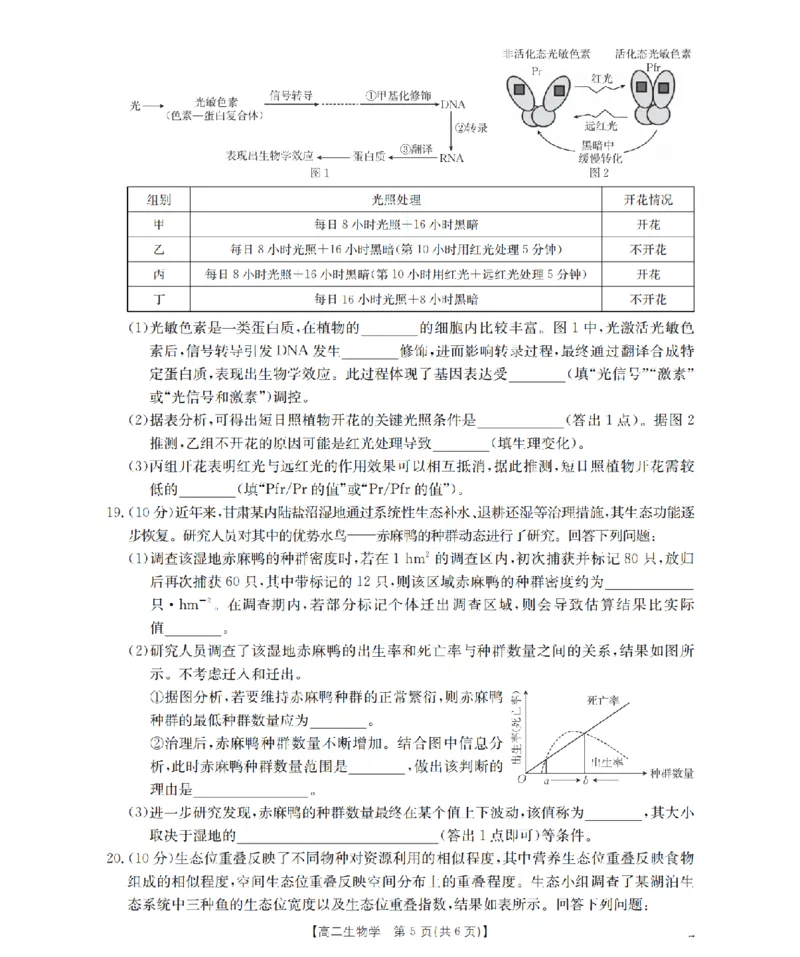 生物学_扫描版_2024-2025高二（7-7月题库）_2026年1月高二_260130金太阳&middot;甘肃省陇南地区2025-2026学年高二上学期阶段性检测（全）
