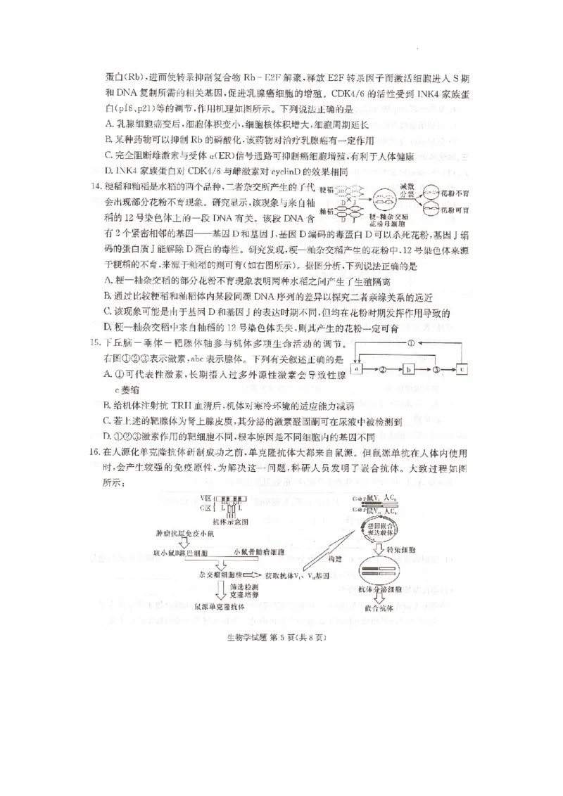 湖南省湘东十校2025届高三10月联考生物试题_2024-2025高三（6-6月题库）_2024年10月试卷_1030（炎德英才名校联合体第三次联考）2025届湖南省湘东十校高三上学期10月联考