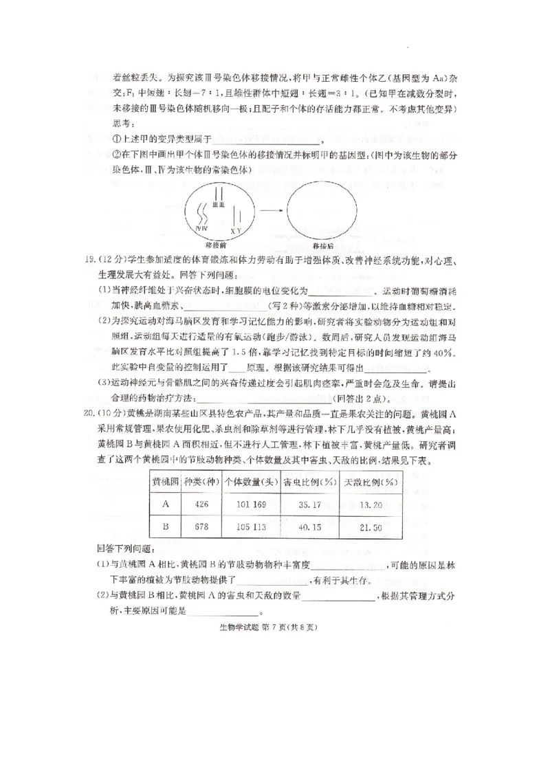 湖南省湘东十校2025届高三10月联考生物试题_2024-2025高三（6-6月题库）_2024年10月试卷_1030（炎德英才名校联合体第三次联考）2025届湖南省湘东十校高三上学期10月联考
