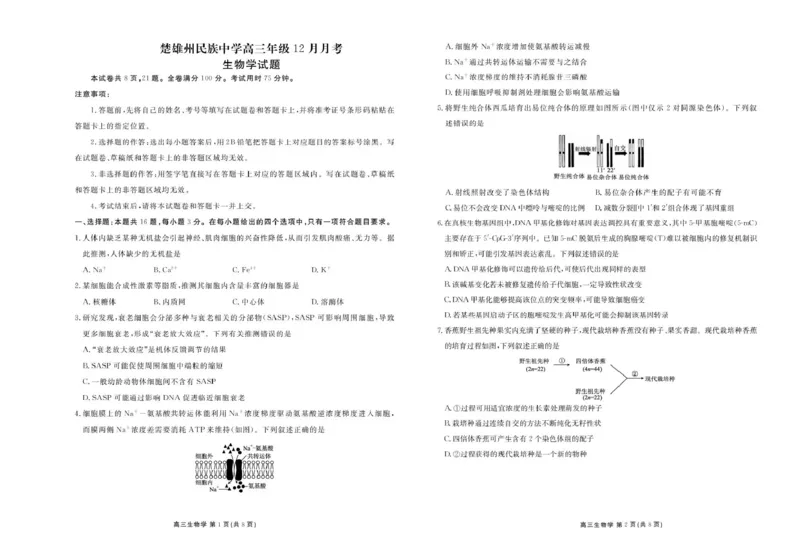 楚雄州民族中学高三年级12月月考生物_2024-2026高三（6-6月题库）_2026年01月高三试卷_0107云南省楚雄州民族中学高三年级12月月考（全）