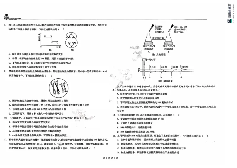 黑龙江省大庆市大庆实验中学2024-2025学年高二上学期开学考试生物+答案_2024-2025高二（7-7月题库）_2024年08月试卷_0831黑龙江省大庆市大庆实验中学2024-2025学年高二上学期开学考试