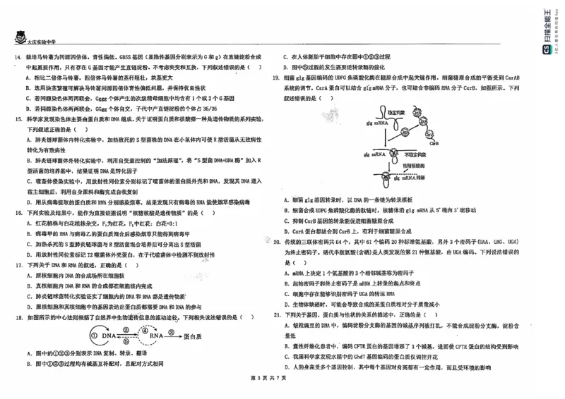 黑龙江省大庆市大庆实验中学2024-2025学年高二上学期开学考试生物+答案_2024-2025高二（7-7月题库）_2024年08月试卷_0831黑龙江省大庆市大庆实验中学2024-2025学年高二上学期开学考试