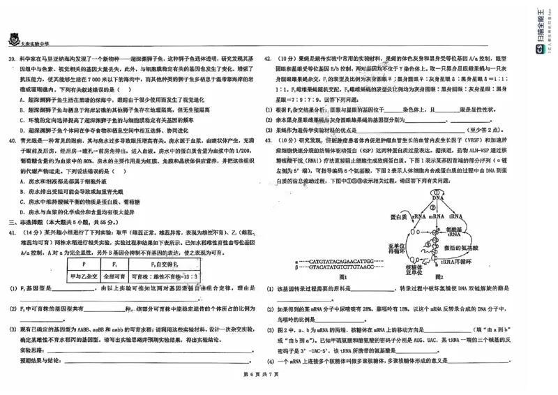 黑龙江省大庆市大庆实验中学2024-2025学年高二上学期开学考试生物+答案_2024-2025高二（7-7月题库）_2024年08月试卷_0831黑龙江省大庆市大庆实验中学2024-2025学年高二上学期开学考试