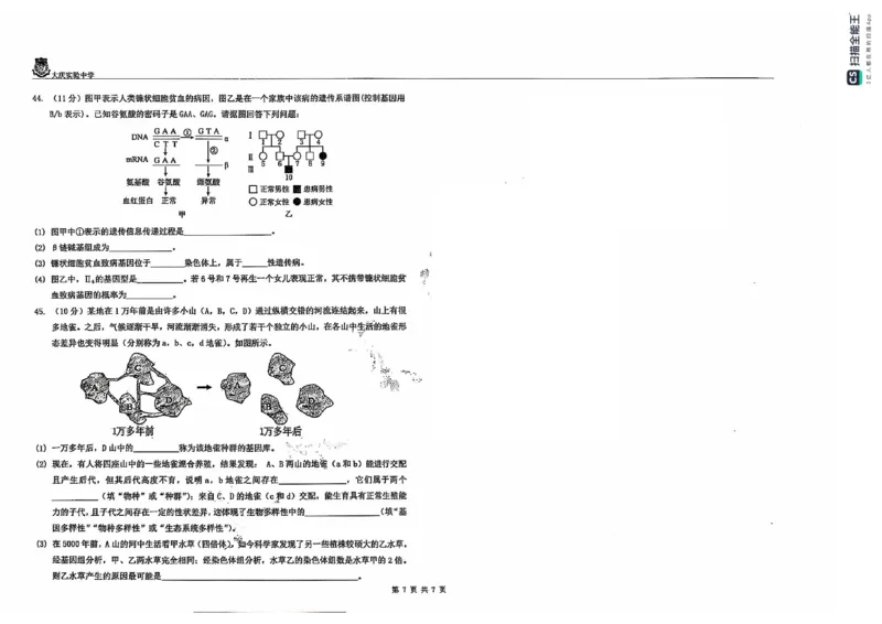 黑龙江省大庆市大庆实验中学2024-2025学年高二上学期开学考试生物+答案_2024-2025高二（7-7月题库）_2024年08月试卷_0831黑龙江省大庆市大庆实验中学2024-2025学年高二上学期开学考试