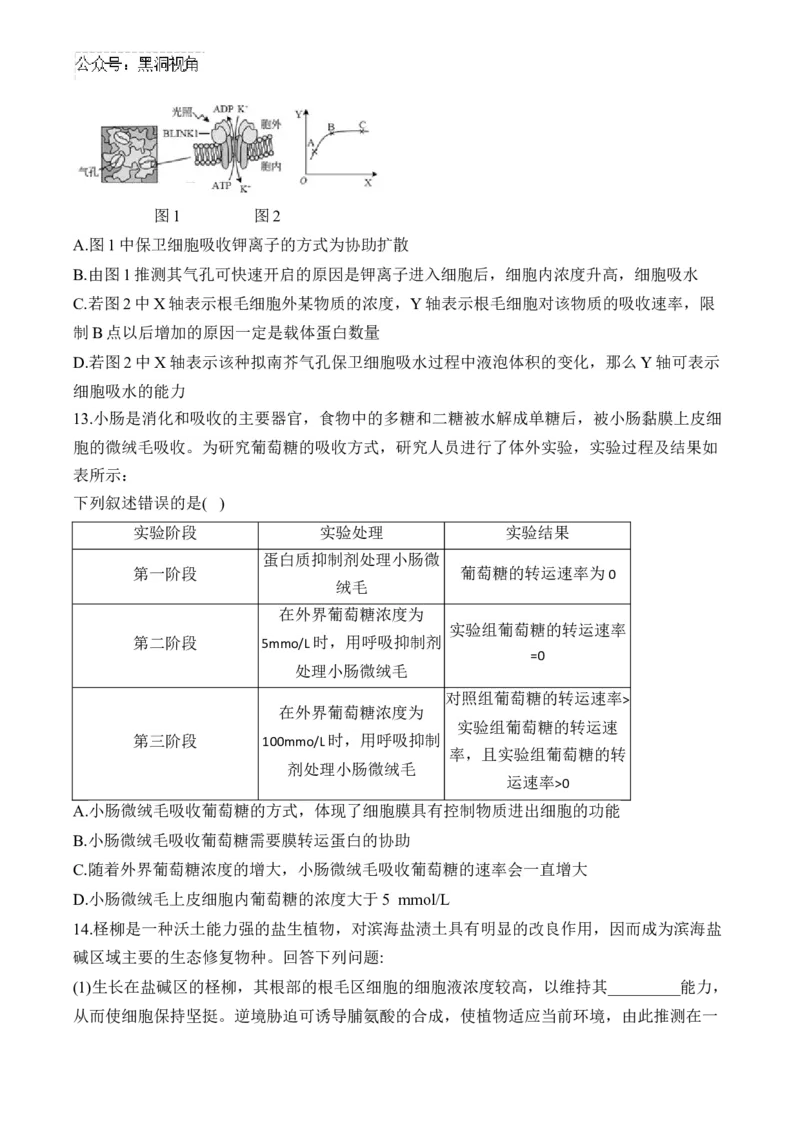 （3）细胞的物质输入和输出&mdash;&mdash;2025届高考生物二轮复习易错重难提升（含解析）_2024-2025高三（6-6月题库）_2025年02月试卷_02162025届高考生物二轮复习易错重难提升（含解析）