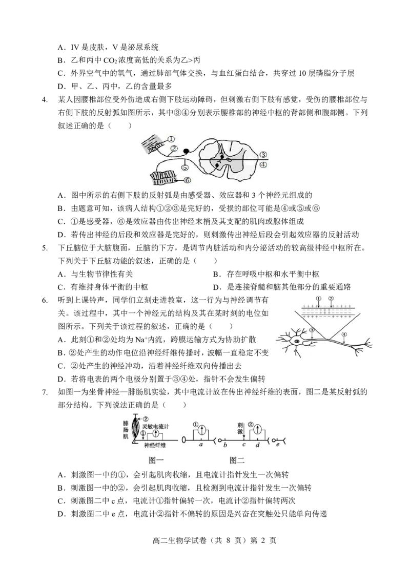楚天协作体2025-2026学年度上学期高二10月月考生物_2025年10月高二试卷_251017湖北省楚天协作体2025-2026学年度上学期高二10月月考（全）