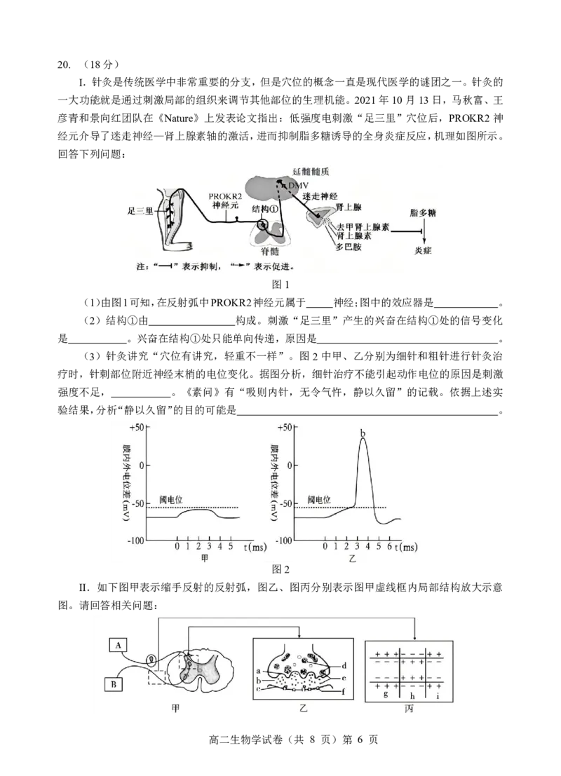 楚天协作体2025-2026学年度上学期高二10月月考生物_2025年10月高二试卷_251017湖北省楚天协作体2025-2026学年度上学期高二10月月考（全）