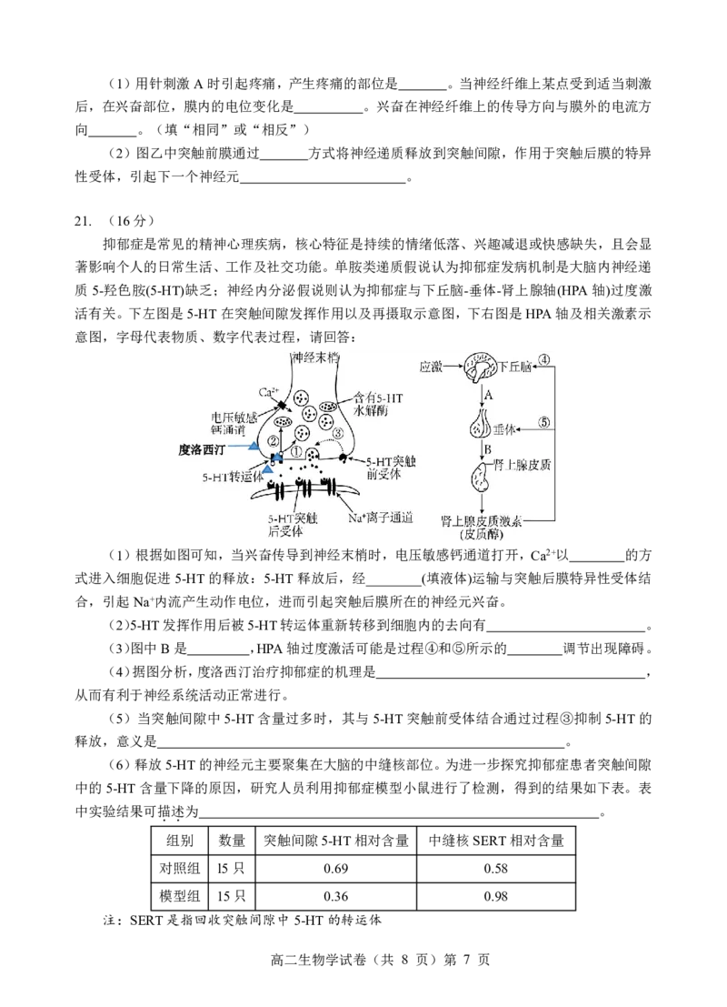 楚天协作体2025-2026学年度上学期高二10月月考生物_2025年10月高二试卷_251017湖北省楚天协作体2025-2026学年度上学期高二10月月考（全）