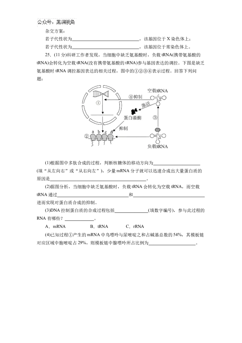 黑龙江省实验中学2024-2025学年高三上学期第三次月考生物试卷_2024-2025高三（6-6月题库）_2024年12月试卷_1208黑龙江省实验中学2024-2025学年高三上学期第三次月考