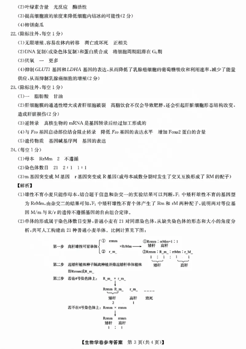 生物-浙江省2024-2025学年高二强基联盟10联考_2024-2025高二（7-7月题库）_2024年10月试卷_1019浙江省2024-2025学年高二强基联盟10联考
