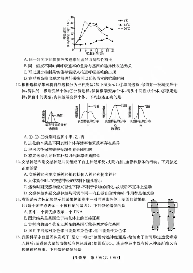 生物-浙江省2024-2025学年高二强基联盟10联考_2024-2025高二（7-7月题库）_2024年10月试卷_1019浙江省2024-2025学年高二强基联盟10联考