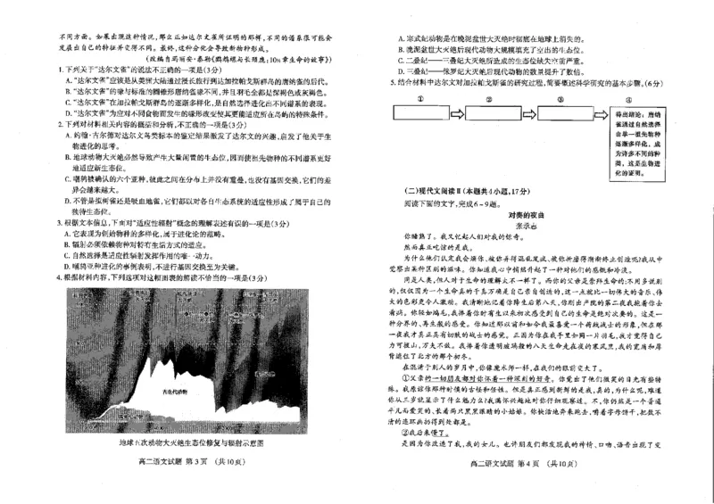 语文_2024-2025高二（7-7月题库）_2024年07月试卷_0721山东省泰安市2023-2024学年高二下学期7月期末考试_泰安市2023-2024学年高二下学期7月期末考试语文
