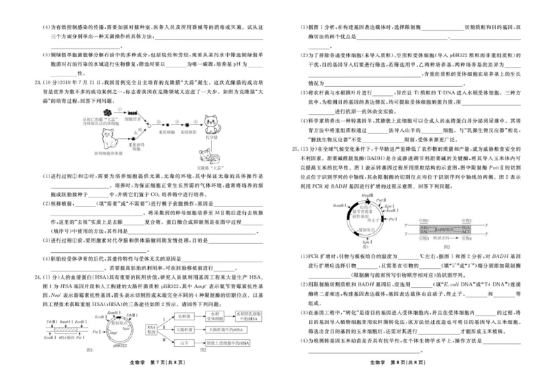 生物生物辽宁县域2024&mdash;2025学年度高二下学期期中考试正文_2024-2025高二（7-7月题库）_2025年05月试卷_0527辽宁省县域重点高中2024-2025学年高二下学期期中考试