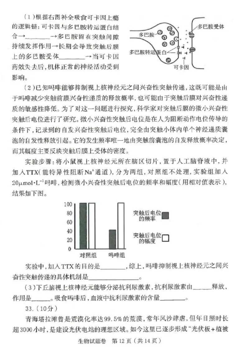 郑州市2026年高中毕业年级第一次质量预测生物_2024-2026高三（6-6月题库）_2026年01月高三试卷_0107河南省郑州市2026年高中毕业年级第一次质量预测（郑州一模）（全）