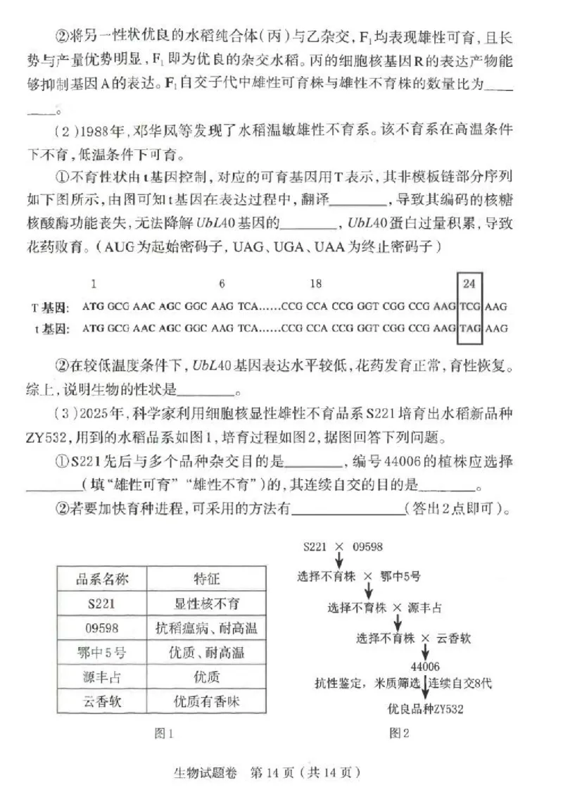 郑州市2026年高中毕业年级第一次质量预测生物_2024-2026高三（6-6月题库）_2026年01月高三试卷_0107河南省郑州市2026年高中毕业年级第一次质量预测（郑州一模）（全）