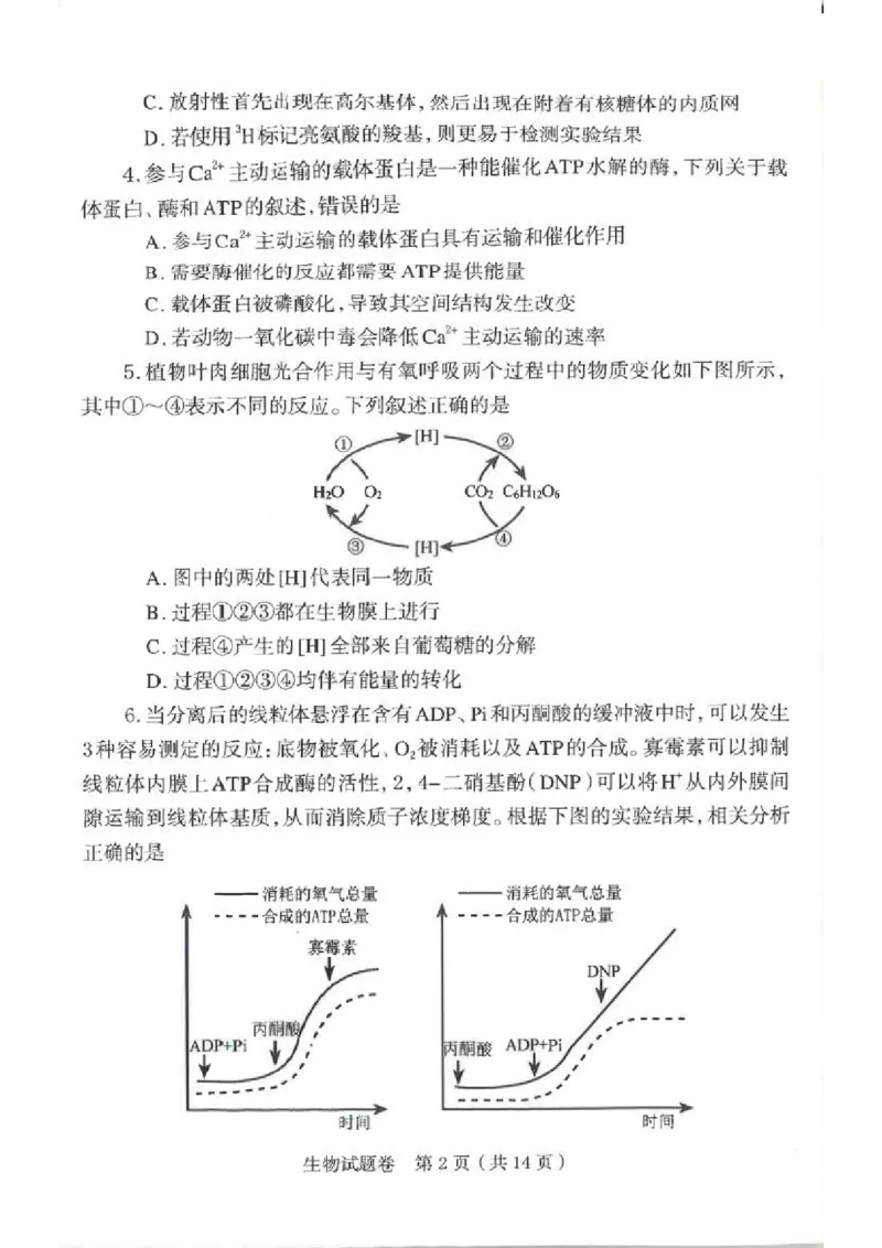 郑州市2026年高中毕业年级第一次质量预测生物_2024-2026高三（6-6月题库）_2026年01月高三试卷_0107河南省郑州市2026年高中毕业年级第一次质量预测（郑州一模）（全）