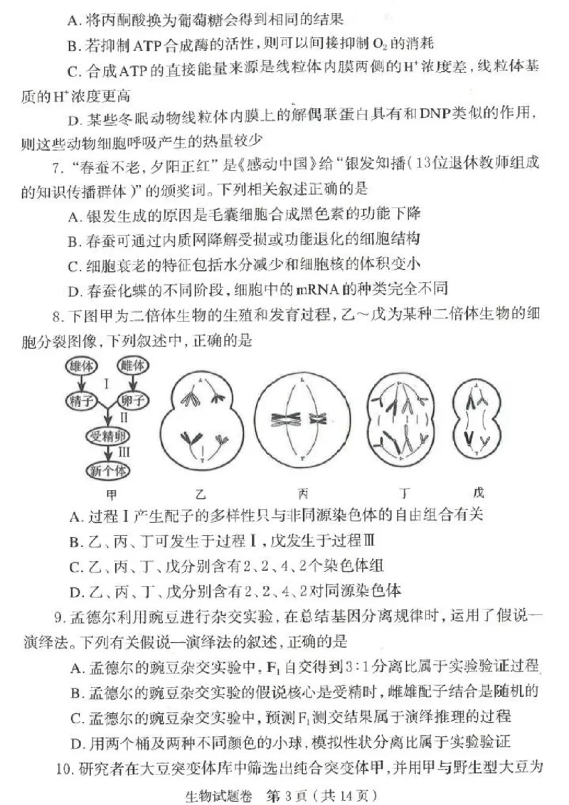郑州市2026年高中毕业年级第一次质量预测生物_2024-2026高三（6-6月题库）_2026年01月高三试卷_0107河南省郑州市2026年高中毕业年级第一次质量预测（郑州一模）（全）