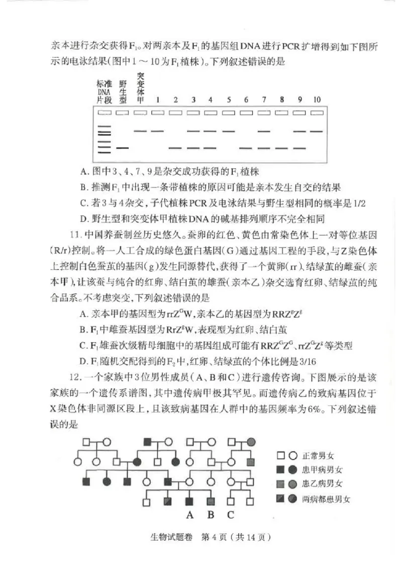 郑州市2026年高中毕业年级第一次质量预测生物_2024-2026高三（6-6月题库）_2026年01月高三试卷_0107河南省郑州市2026年高中毕业年级第一次质量预测（郑州一模）（全）