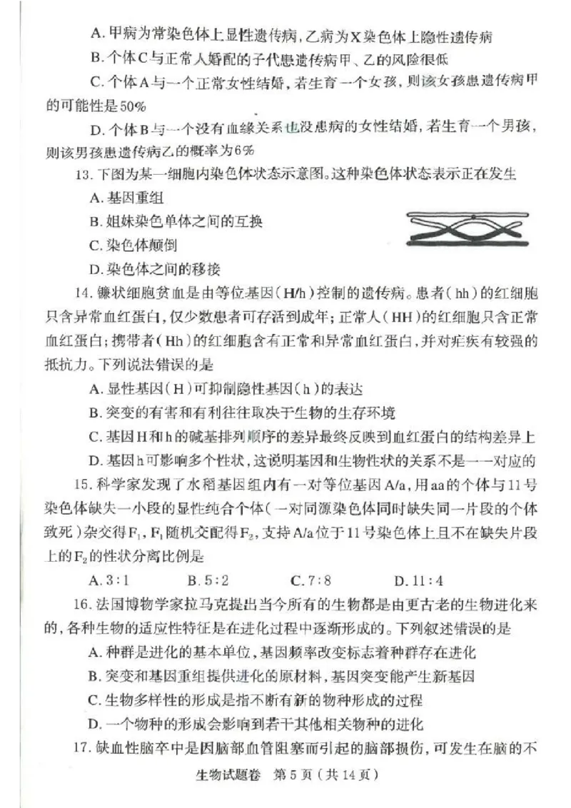 郑州市2026年高中毕业年级第一次质量预测生物_2024-2026高三（6-6月题库）_2026年01月高三试卷_0107河南省郑州市2026年高中毕业年级第一次质量预测（郑州一模）（全）