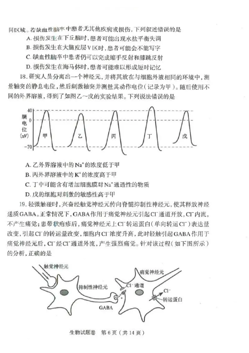 郑州市2026年高中毕业年级第一次质量预测生物_2024-2026高三（6-6月题库）_2026年01月高三试卷_0107河南省郑州市2026年高中毕业年级第一次质量预测（郑州一模）（全）