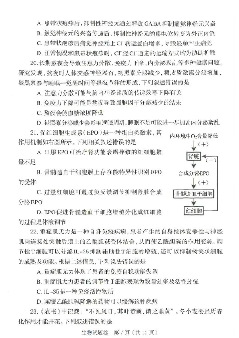 郑州市2026年高中毕业年级第一次质量预测生物_2024-2026高三（6-6月题库）_2026年01月高三试卷_0107河南省郑州市2026年高中毕业年级第一次质量预测（郑州一模）（全）
