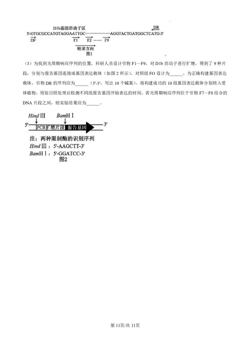 精品解析：广东省珠海市2024-2025学年高三上学期第一次摸底考试生物试题（原卷版）_2024-2025高三（6-6月题库）_2024年10月试卷_1007广东省珠海市2024-2025学年高三上学期第一次摸底考试