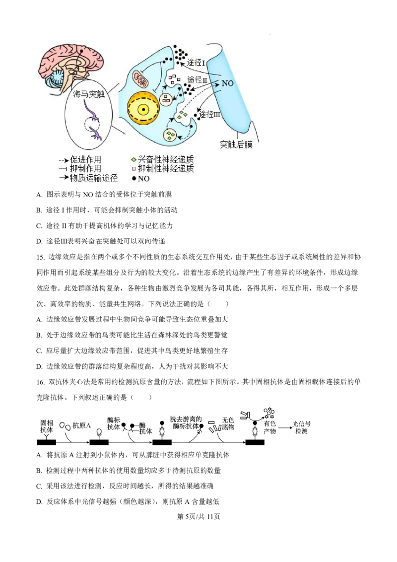 精品解析：广东省珠海市2024-2025学年高三上学期第一次摸底考试生物试题（原卷版）_2024-2025高三（6-6月题库）_2024年10月试卷_1007广东省珠海市2024-2025学年高三上学期第一次摸底考试