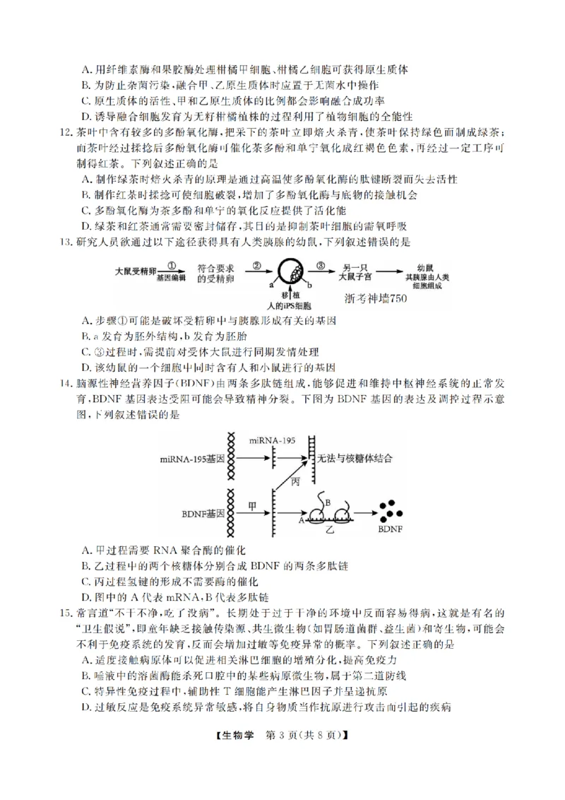 生物卷-2502高三强基联考_2024-2025高三（6-6月题库）_2025年02月试卷_0217浙江强基联盟2025届高三下学期2月联考（全科）_浙江省强基联盟2024-2025学年高三下学期2月联考生物试题（含答案）