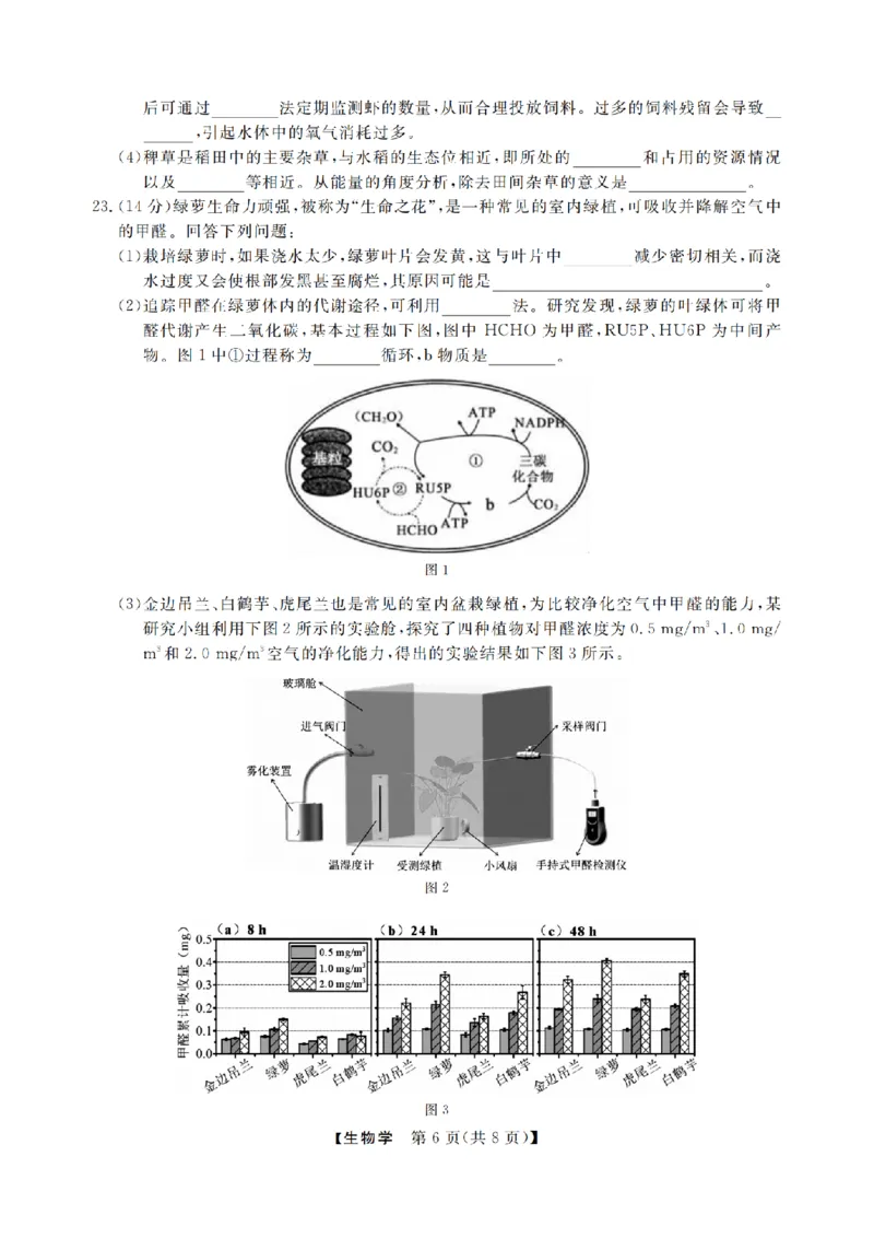 生物卷-2502高三强基联考_2024-2025高三（6-6月题库）_2025年02月试卷_0217浙江强基联盟2025届高三下学期2月联考（全科）_浙江省强基联盟2024-2025学年高三下学期2月联考生物试题（含答案）