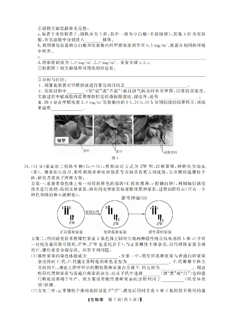 生物卷-2502高三强基联考_2024-2025高三（6-6月题库）_2025年02月试卷_0217浙江强基联盟2025届高三下学期2月联考（全科）_浙江省强基联盟2024-2025学年高三下学期2月联考生物试题（含答案）