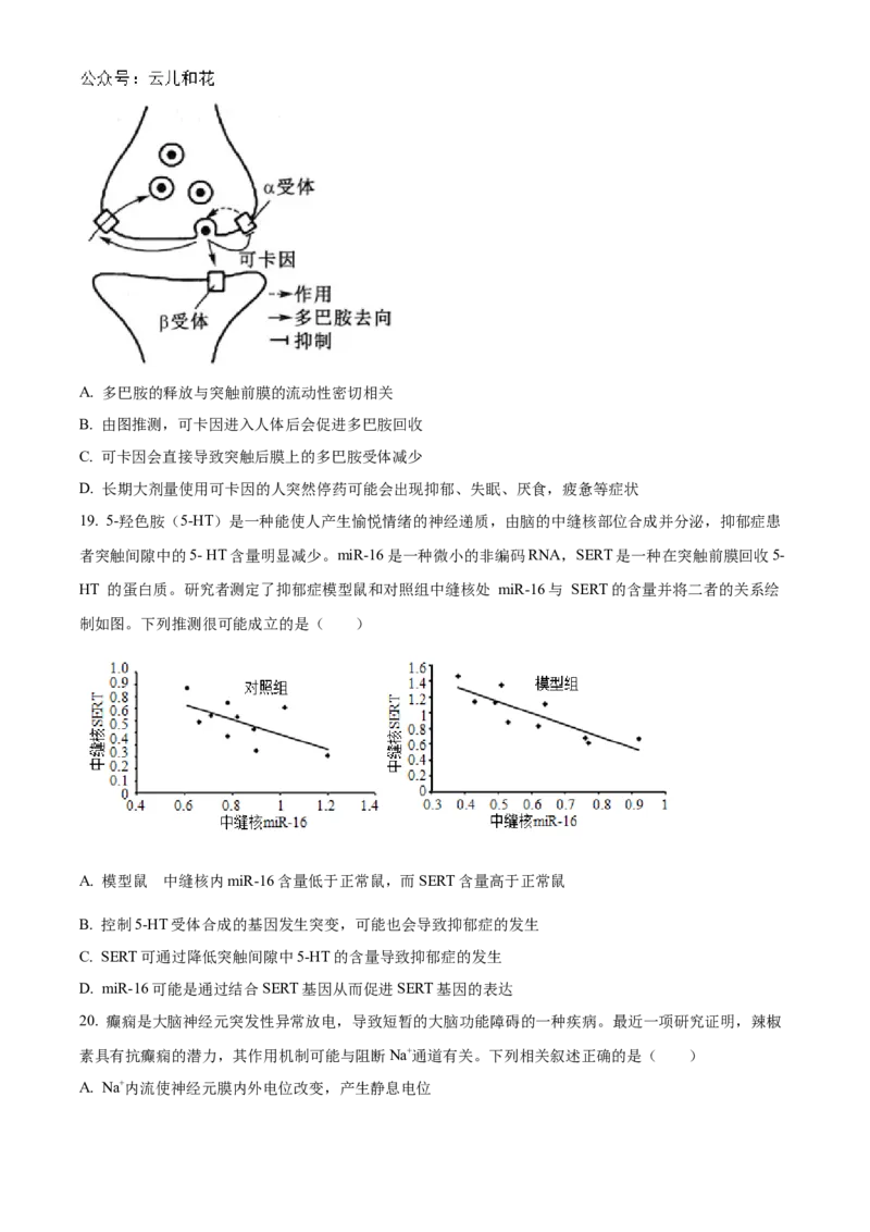 辽宁省名校联盟2024-2025学年高二上学期第一次月考生物试卷Word版无答案_2024-2025高二（7-7月题库）_2024年10月试卷_1024辽宁省名校联盟2024-2025学年高二上学期第一次月考