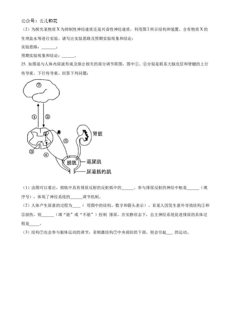 辽宁省名校联盟2024-2025学年高二上学期第一次月考生物试卷Word版无答案_2024-2025高二（7-7月题库）_2024年10月试卷_1024辽宁省名校联盟2024-2025学年高二上学期第一次月考