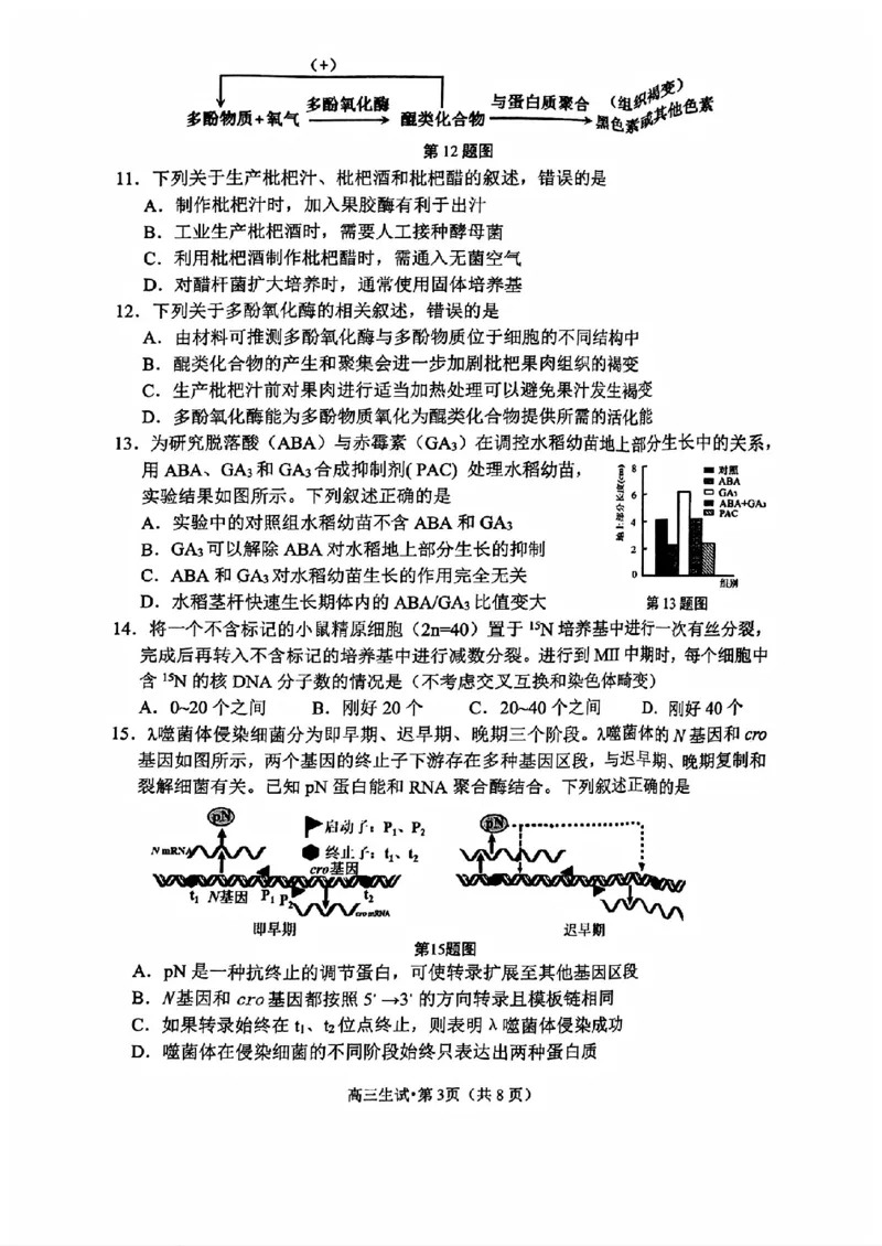 浙江省2025届高三杭州一模生物试题_2024-2025高三（6-6月题库）_2024年11月试卷_11072024-2025学年第一学期浙江省杭州市高三年级11月质量检测（杭州一模）