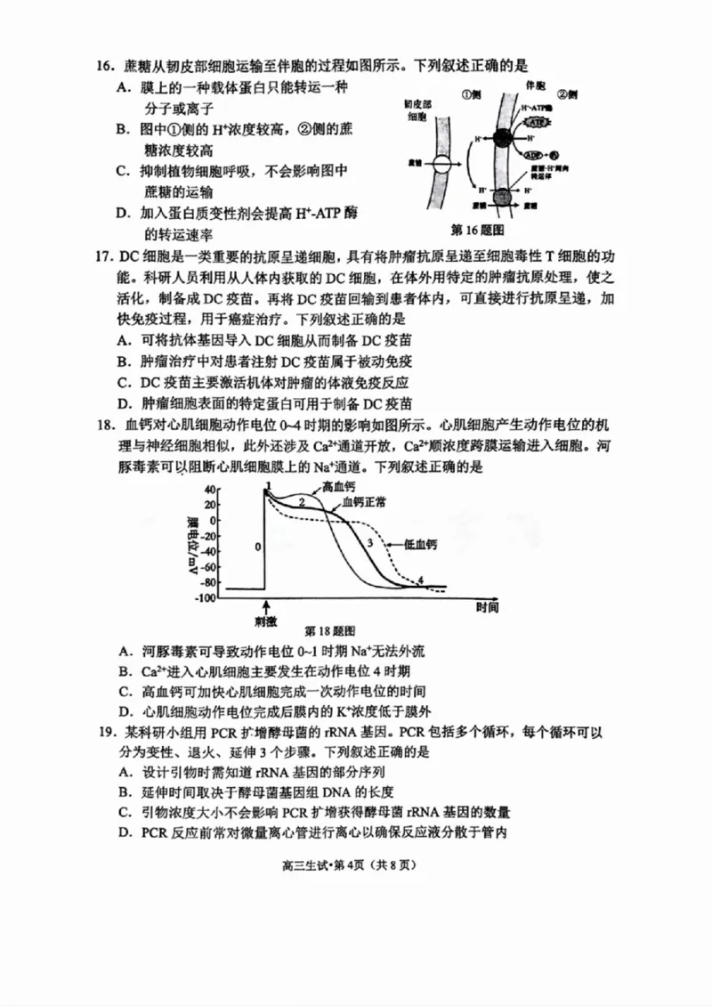 浙江省2025届高三杭州一模生物试题_2024-2025高三（6-6月题库）_2024年11月试卷_11072024-2025学年第一学期浙江省杭州市高三年级11月质量检测（杭州一模）