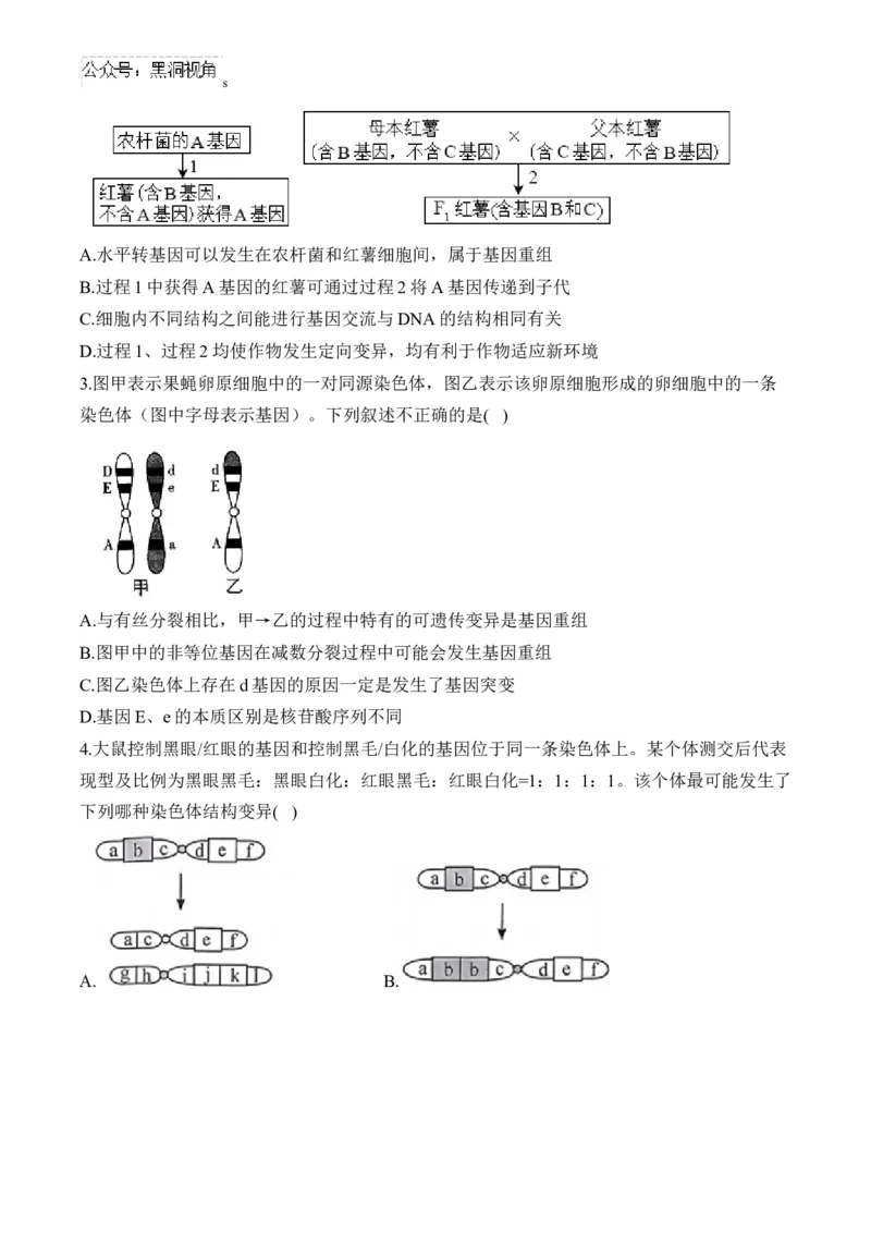 （13）生物的变异与育种&mdash;&mdash;2025届高考生物二轮复习易错重难提升学案（含解析）_2024-2025高三（6-6月题库）_2025年02月试卷_02162025届高考生物二轮复习易错重难提升（含解析）