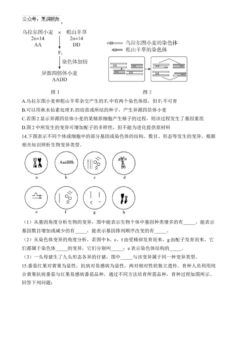 （13）生物的变异与育种&mdash;&mdash;2025届高考生物二轮复习易错重难提升学案（含解析）_2024-2025高三（6-6月题库）_2025年02月试卷_02162025届高考生物二轮复习易错重难提升（含解析）
