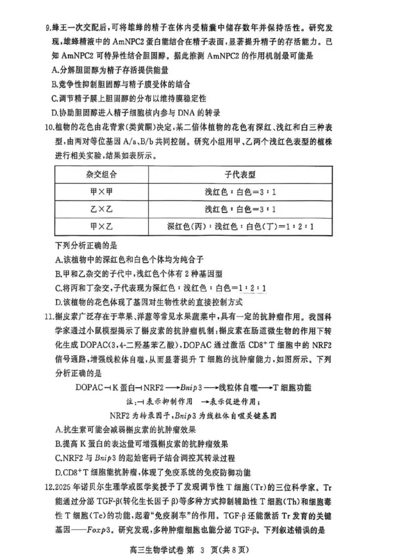 黄冈市2025年秋季高三年级1月期末考试生物_2024-2026高三（6-6月题库）_2026年01月高三试卷_0108湖北省黄冈市2025年秋季高三年级1月期末考试（全）