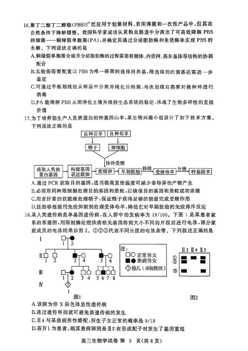 黄冈市2025年秋季高三年级1月期末考试生物_2024-2026高三（6-6月题库）_2026年01月高三试卷_0108湖北省黄冈市2025年秋季高三年级1月期末考试（全）