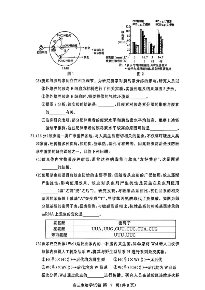 黄冈市2025年秋季高三年级1月期末考试生物_2024-2026高三（6-6月题库）_2026年01月高三试卷_0108湖北省黄冈市2025年秋季高三年级1月期末考试（全）