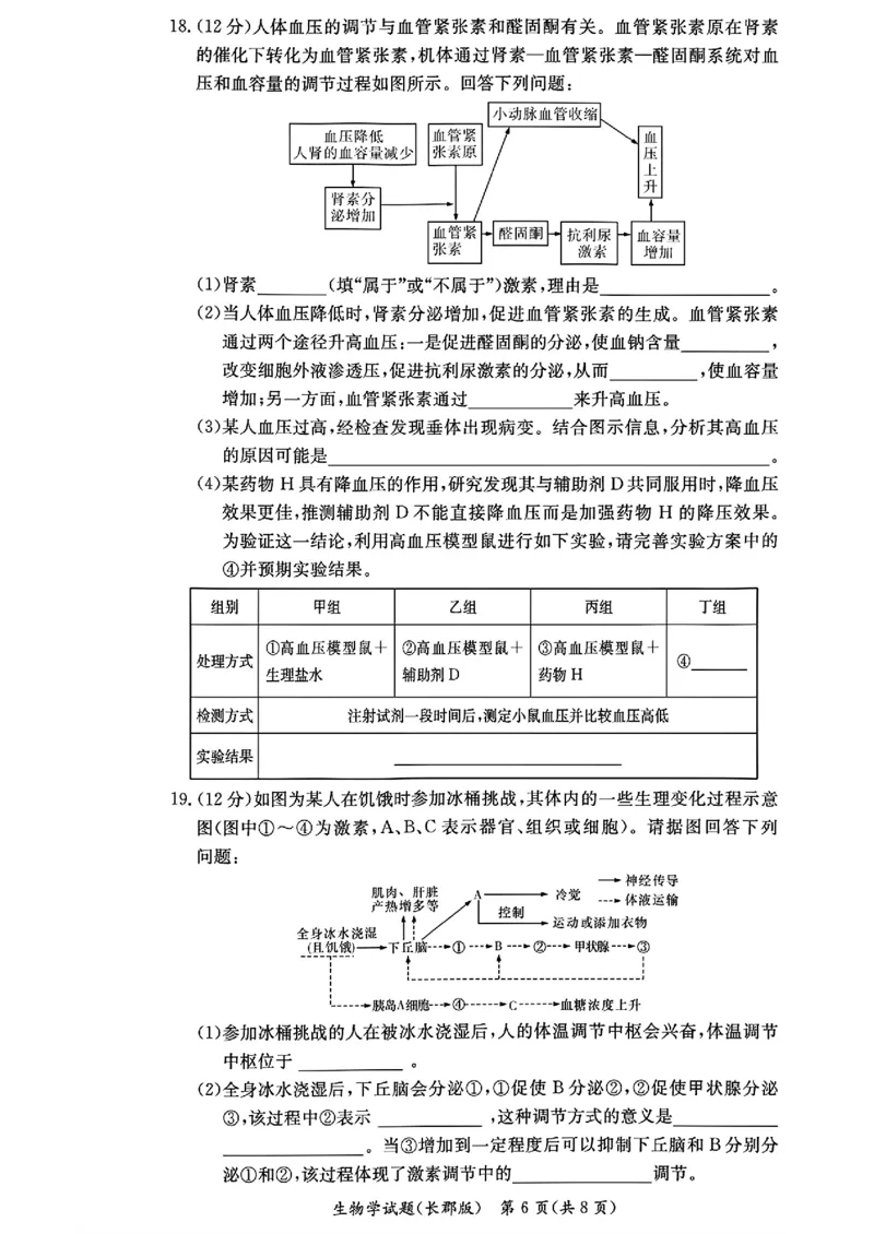 生物-湖南省长沙市长郡中学2025学年下学期高二11月期中考_2025年11月高二试卷_251115湖南省长沙市长郡中学2025学年下学期高二11月期中考