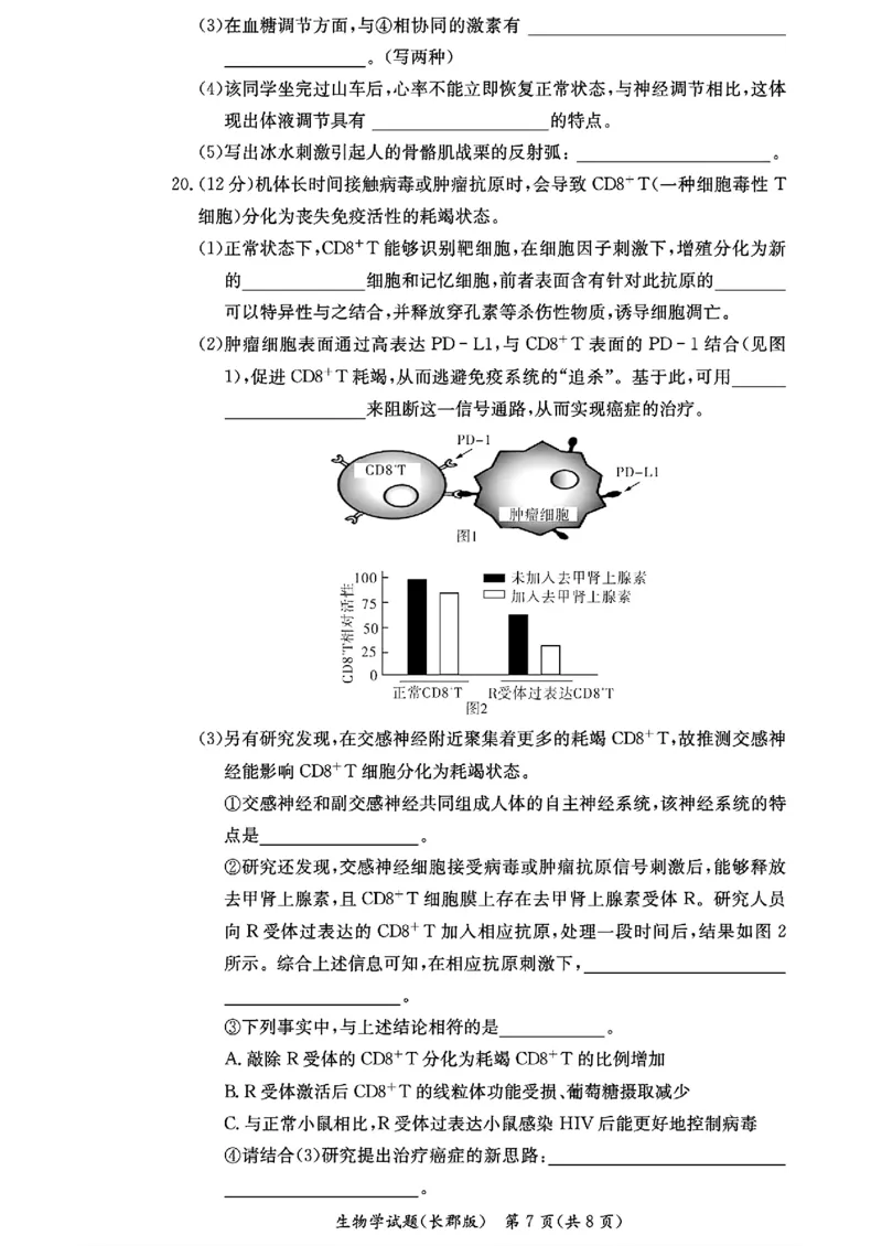 生物-湖南省长沙市长郡中学2025学年下学期高二11月期中考_2025年11月高二试卷_251115湖南省长沙市长郡中学2025学年下学期高二11月期中考