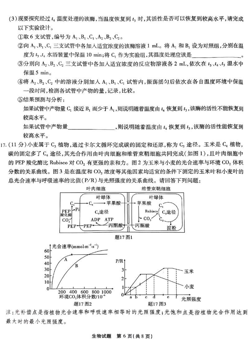 重庆南开中学高2025届高三第三次质量检测生物_2024-2025高三（6-6月题库）_2024年11月试卷_1111重庆南开中学高2025届高三第三次质量检测