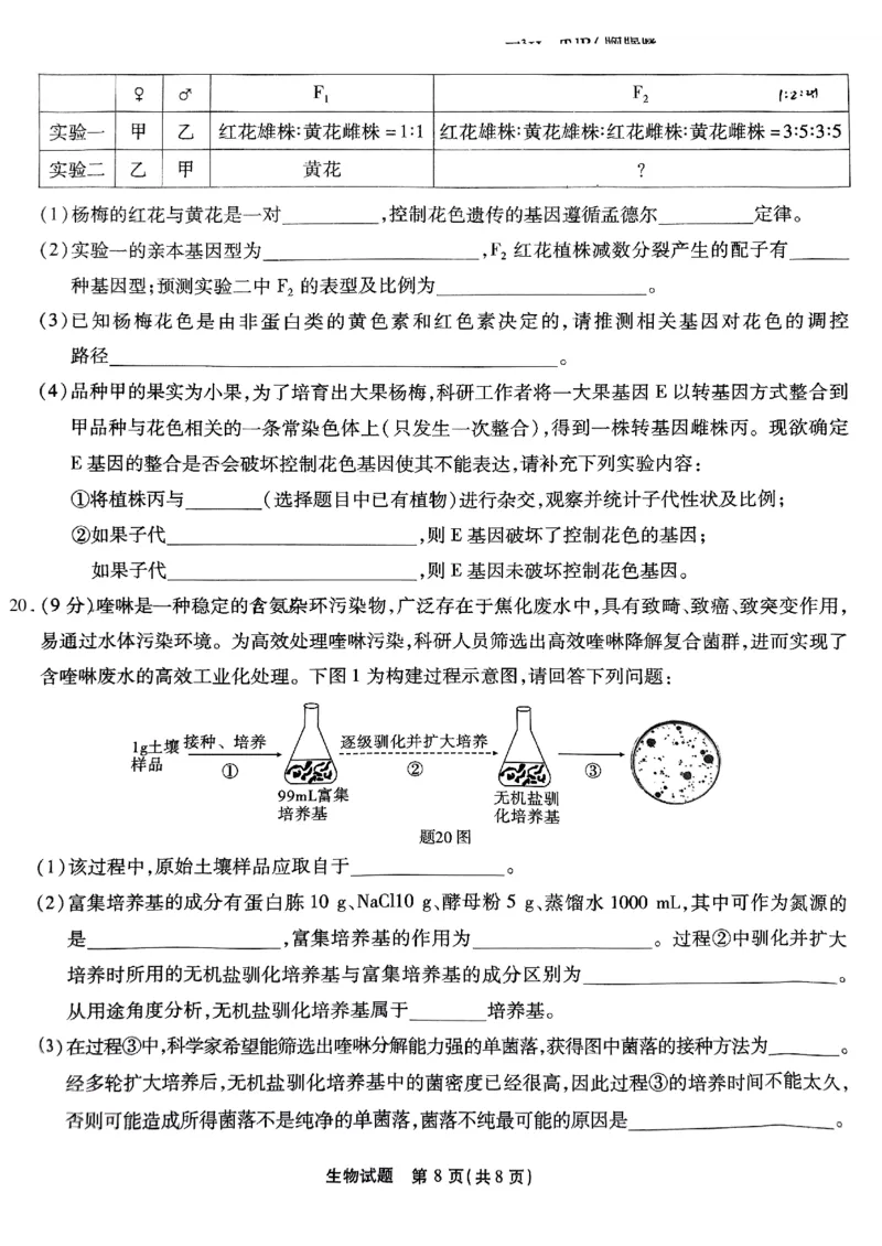 重庆南开中学高2025届高三第三次质量检测生物_2024-2025高三（6-6月题库）_2024年11月试卷_1111重庆南开中学高2025届高三第三次质量检测