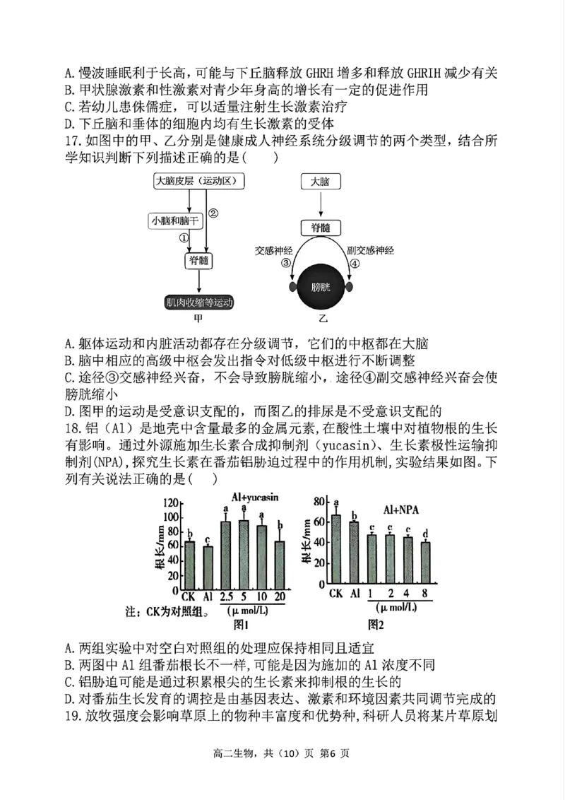 辽宁省七校协作体2024-2025学年高二上学期12月月考生物试卷_2024-2025高二（7-7月题库）_2024年12月试卷_1224辽宁省七校协作体2024-2025学年高二12月联考