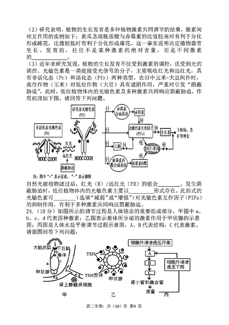 辽宁省七校协作体2024-2025学年高二上学期12月月考生物试卷_2024-2025高二（7-7月题库）_2024年12月试卷_1224辽宁省七校协作体2024-2025学年高二12月联考