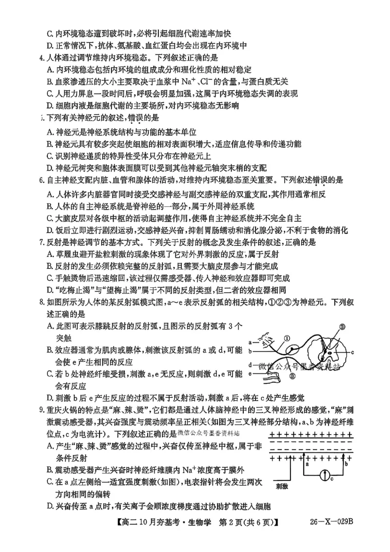 生物试卷-山西省三晋卓越联盟2025-2026学年高二10月夯基考(26-X-029B)_2025年10月高二试卷_251022山西省三晋卓越联盟2025-2026学年高二10月夯基考(26-X-029B)