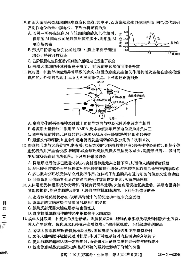 生物试卷-山西省三晋卓越联盟2025-2026学年高二10月夯基考(26-X-029B)_2025年10月高二试卷_251022山西省三晋卓越联盟2025-2026学年高二10月夯基考(26-X-029B)